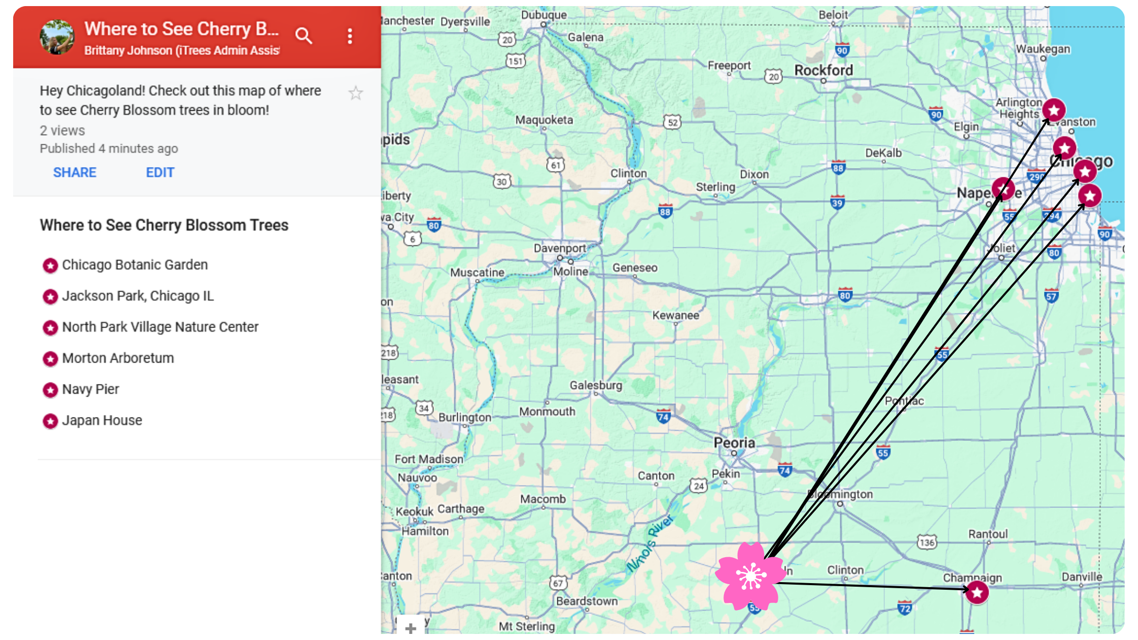 Map of where to see Cherry Blossom Trees in Illinois.